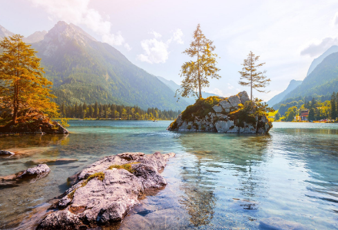 1702397047431440.png image.png