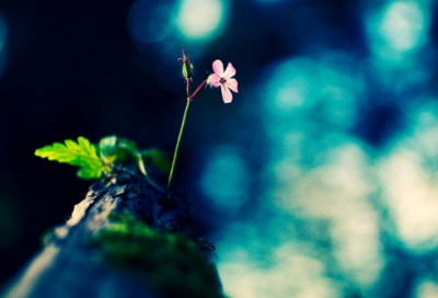 ​工作座右铭励志名言（精选推荐）