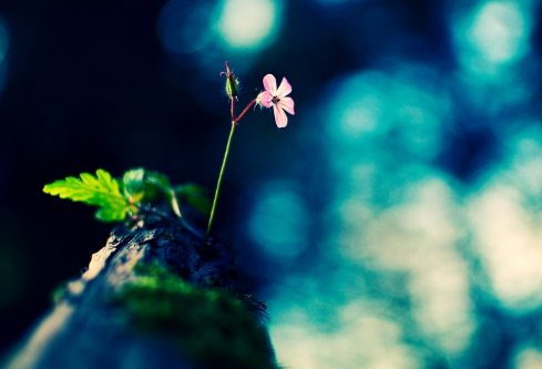 1702336587555441.png image.png