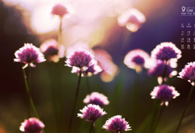 ​关于努力励志的句子致自己简短