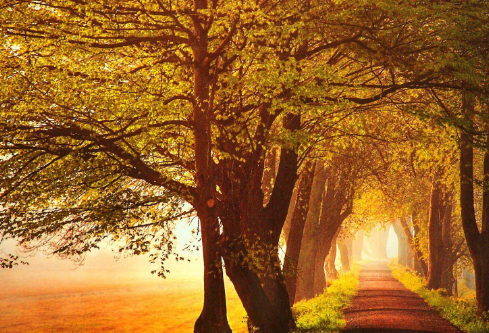 1702339899435672.png image.png