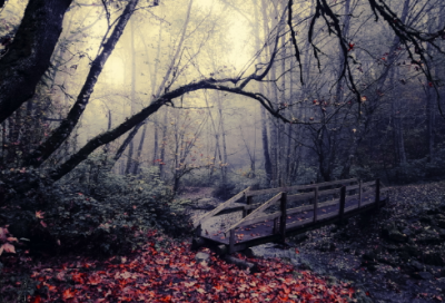 ​励志挣钱的最新句子（精选推荐）