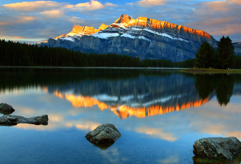 1702404333634003.png image.png