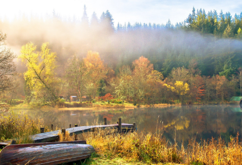 1702404168159430.png image.png