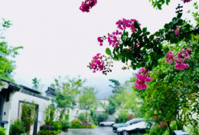 ​句句精辟的励志句子大全文案朋友圈