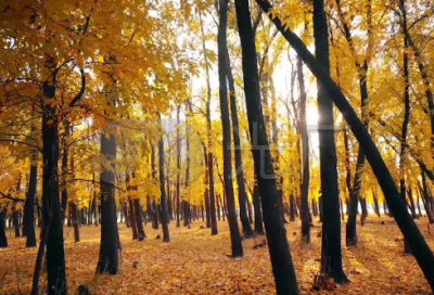 ​有哲理的励志文案