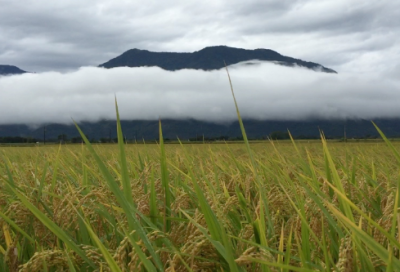 ​关于初三拼搏励志语录(精选40句)
