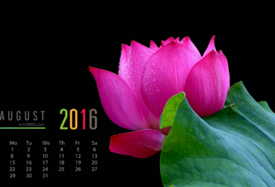 ​对自己说的狠话励志 放狠话的句子励志