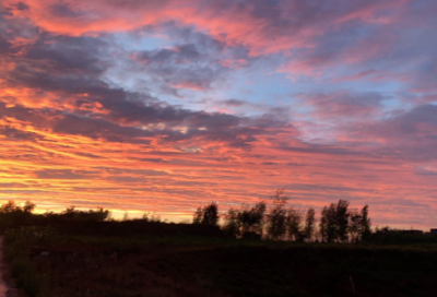 ​独特女人气质简短说说励志