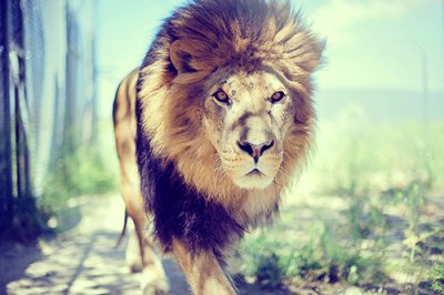 ​伤感的古文句子80句