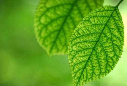 1692707148595275.png image.png