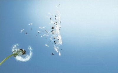 ​颓废伤感性签名80句