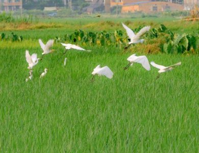 ​文笔唯美的伤感句子