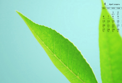 ​13字伤感句子-50句