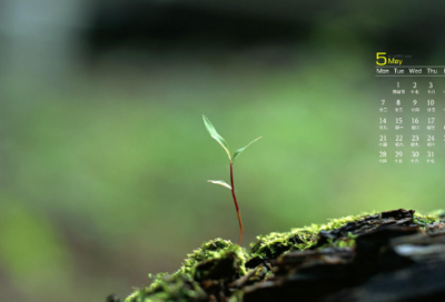 ​抽烟的句子伤感-52句