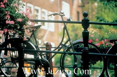 有诗意伤感的句子100句