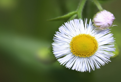 ​丢下我一个人伤感句子-50句