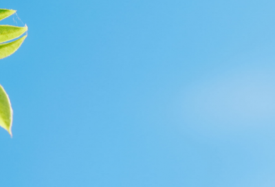 ​短小伤感句子-50句