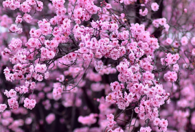 ​发快手伤感句子上热门短句-55句