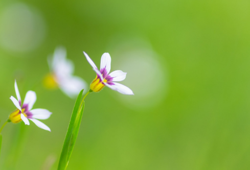 1692702664415900.png image.png