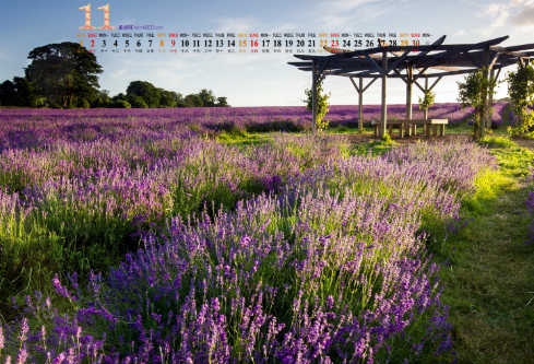 1692701007543132.png image.png