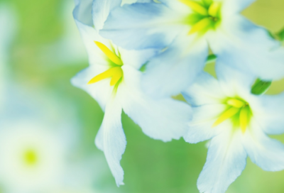 ​分手时不舍的伤感句子-51句