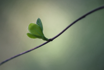 ​发快手的精美句子伤感-53句