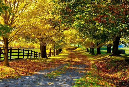 1692699681691046.png image.png