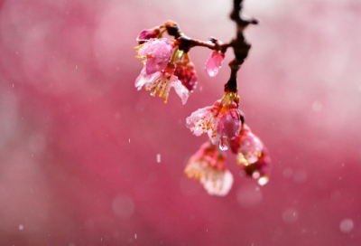 ​等不到你的伤感句子-55句