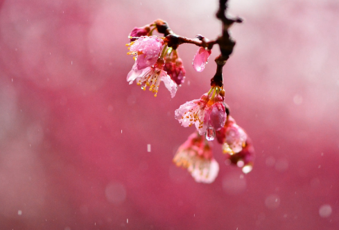 1692699516165995.png image.png