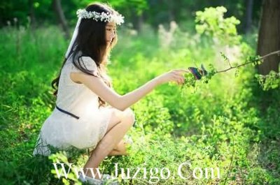 ​有关惊鸿的句子有关伤感离别的古风句子(精选50句)