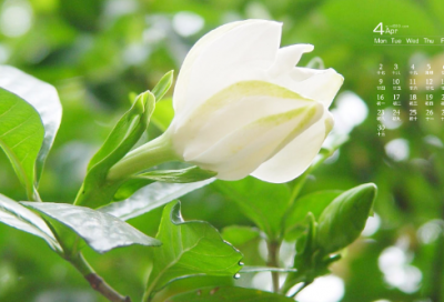 ​非主流唯美伤感句子-53句