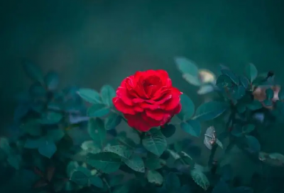 ​关于正能量句子励志短句子 2026励志霸气语录