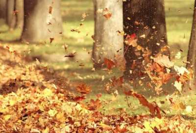 ​关于2026高三学生高考励志朋友圈说说