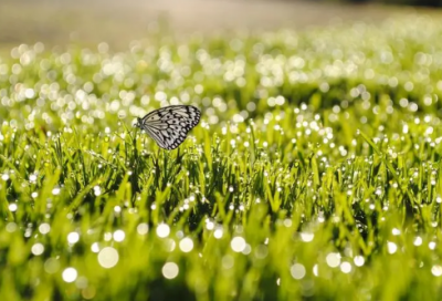 ​2026年祝福祖国励志祝福语大全（精选100句）