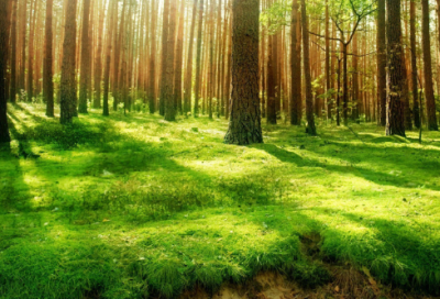 ​2026年励志的话简短霸气（精选100句）