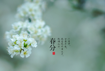 ​幼儿园优秀说课稿