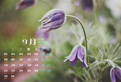 ​大学生晚归检讨书