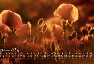 ​教师节心得体会