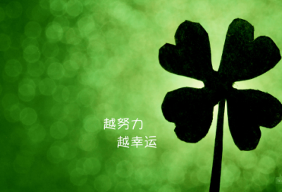 ​书法老师工作总结8篇