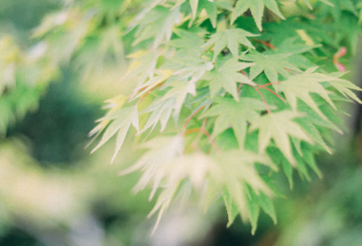 ​小学教师感人教育故事案例（通用6篇）