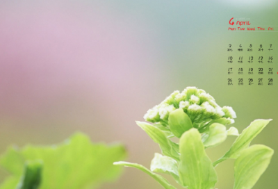 ​物流公司信息部岗位职责（通用25篇）