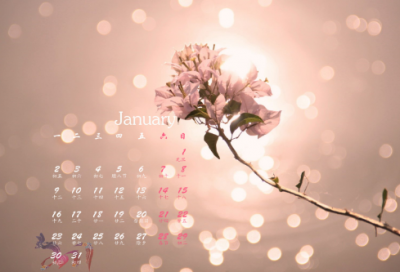 ​班级自我介绍（精选20篇）