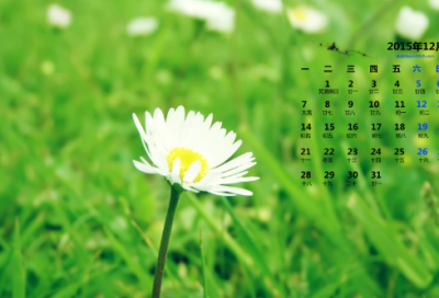 ​文章获奖感言（通用13篇）