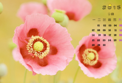 ​袁隆平的事迹及精神（精选11篇）
