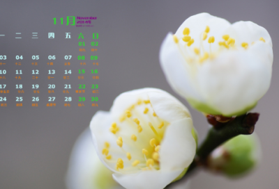 ​重阳节对联