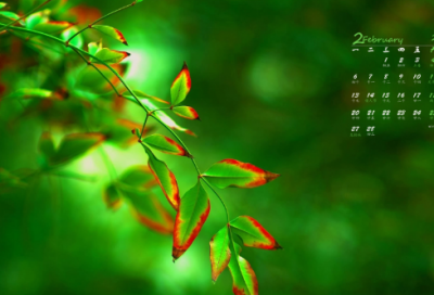 ​青春健康教育活动方案（精选11篇）
