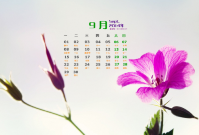 ​教师节幼儿园孩子对老师说的感恩话（通用195句）