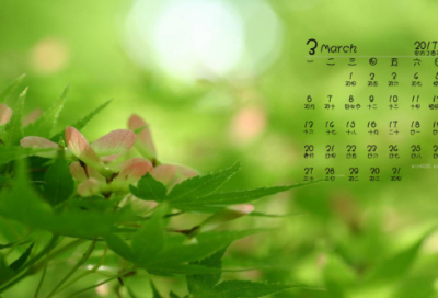 ​慰问教师活动方案15篇