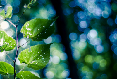 ​读《小英雄雨来》有感15篇